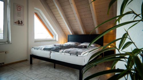 Weisweil Apartment | FeWo WOW II Schöne 2-Zimmer Maisonette Wohnung