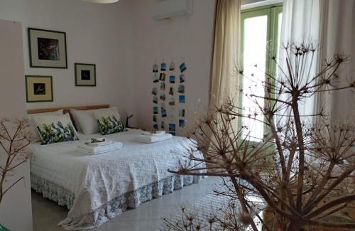 Sortino House | Ficodindia Rooms