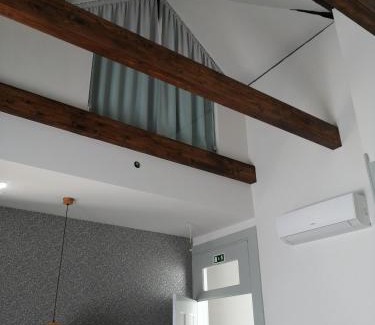 Aveiro Apartment | Ficus Benjamina