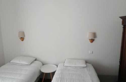 Aveiro Apartment | Ficus Benjamina