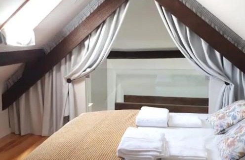 Aveiro Apartment | Ficus Benjamina