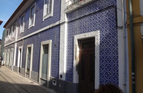 Aveiro Apartment | Ficus Benjamina
