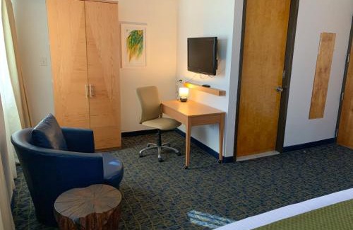 Gobernador Pinero Hotel | Ficus Hotel