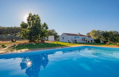 Cercal House | Figueira House T1