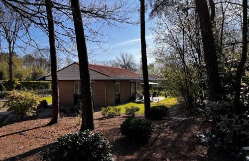 Denekamp House | Fijne plek met eigen bos 2000m2 en GRATIS linnen en handdoeken!