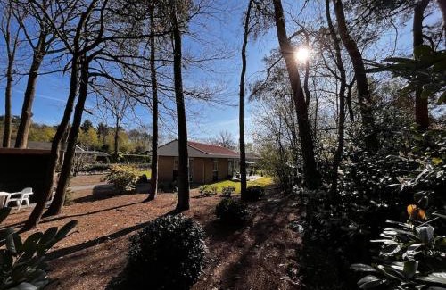 Denekamp House | Fijne plek met eigen bos 2000m2 en GRATIS linnen en handdoeken!