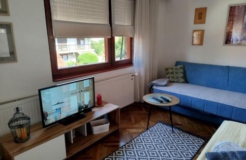 Leskovac Apartment | Fina Apartman