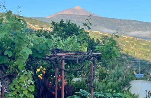 Montijos Villa | Finca Abejera