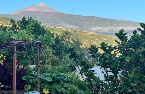 Montijos Villa | Finca Abejera