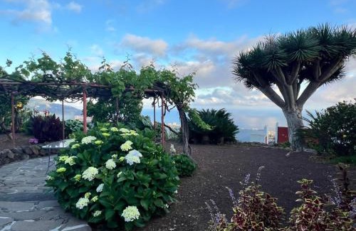Montijos Villa | Finca Abejera