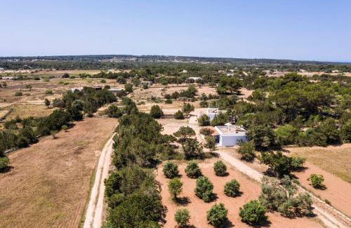 Formentera House | Finca Can Carlets