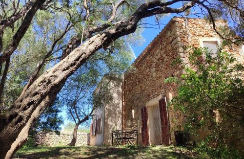 Sencelles Villa | Finca Cas Canar