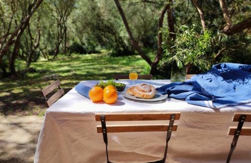 Sencelles Villa | Finca Cas Canar