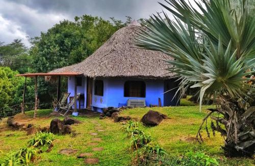 Santa Cruz Cabin | Finca del Sol Eco Lodge