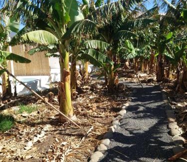 Playa San Juan House | Finca Don Victor