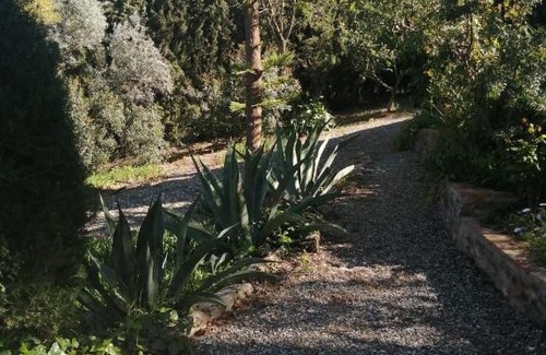 Zalea House | Finca Ecológica La Vegueta