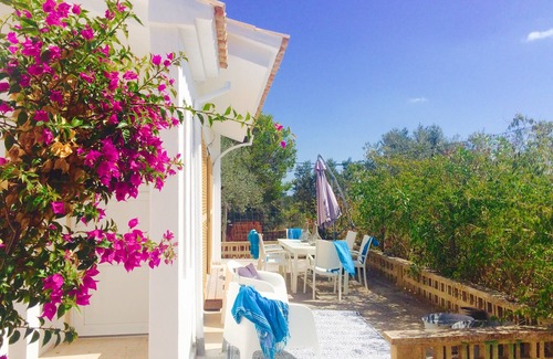 Biniamar House | Finca in the olive grove with mountain views and pool, central location