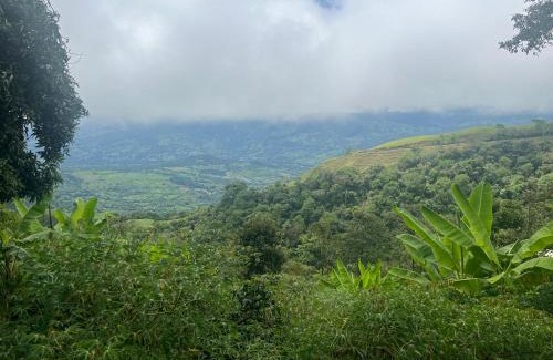 Fredonia House | Finca La Tabaiba
