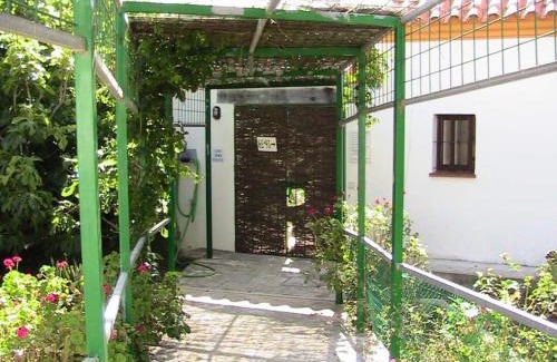 Barrio Nuevo House | Finca La Tacita - Petunia