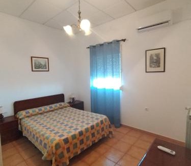 Barrio Nuevo House | Finca La Tacita - Petunia
