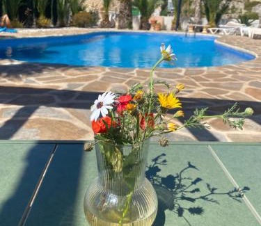 Relleu Apartment | Finca las Estrellas