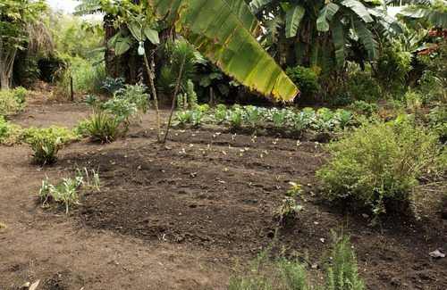Llanogrande House | Finca Llanogrande By Nomad Guru