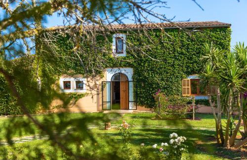 Santanyi Villa | Finca Parra