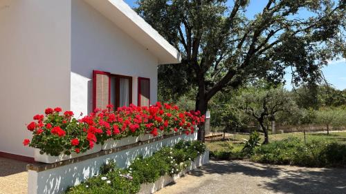 Sencelles House | Finca Sa Cova de Mallorca
