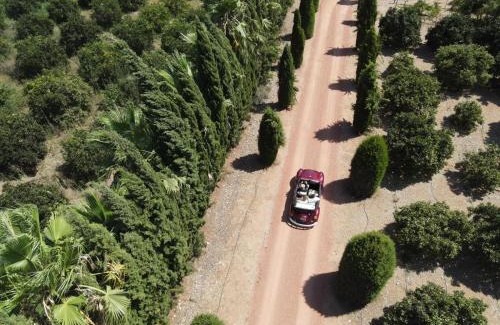 Sencelles House | Finca Son Miranda -LA Organic