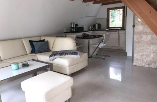 Lenzen House | Finnhütte Seeblick Comfortable holiday residence