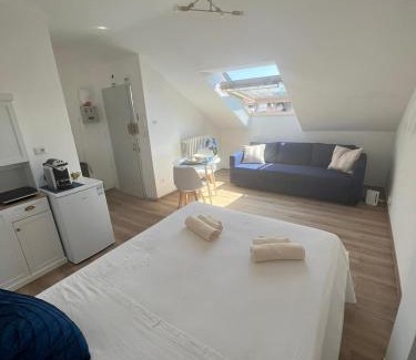 Millefonti Apartment | Fior di Loto Suite - Lingotto