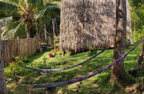 Lazi House | Firefly Treehouse Cafe and Bar