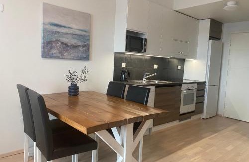 Rovaniemi Apartment | First Aparthotel Olive