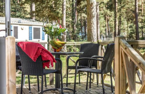 Aahus Other | First Camp Åhus-Kristianstad