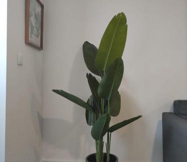 Palhais Apartment | Fisherman's Inn