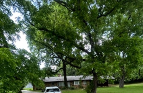 Fayetteville Other | Five minutes to the shopping Mall, Sam's Club, and the highway.