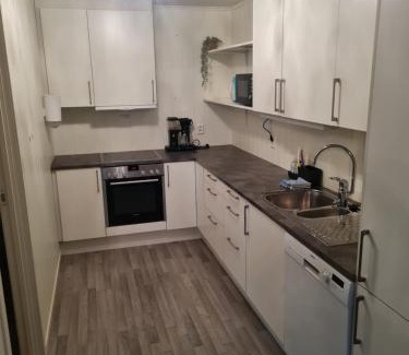 Sogndal Apartment | Fjærland Våteviksvegen 17