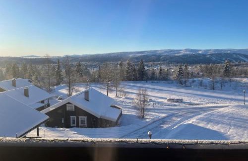 Beitostolen Apartment | Fjellparken 351
