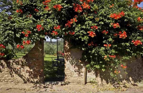 San Donato a Livizzano Apartment | Flat in a winery in Montespertoli,A/C,Wi-Fi, swimming pool,children friendly,Ros