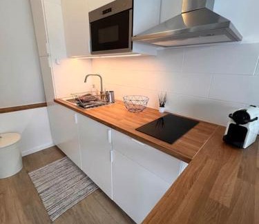 Sint-Jans-Molenbeek Apartment | Flat moderne et lumineux