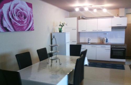 Alt-Godesberg Apartment | flats-4u - Cosy, quiet & clean flats in the city (Apt. 11)