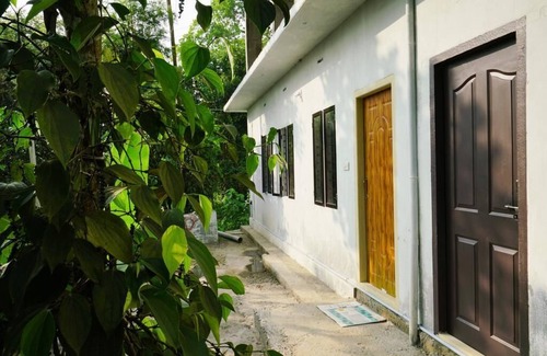 Chithirapuram House | Flavor & Relaxing Stay/Spice Plantation/Munnar