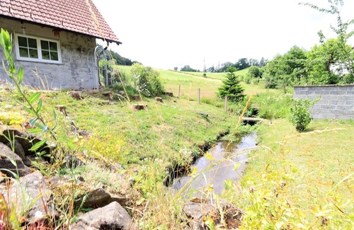 Diemelsee House | Flechtdorfer Waldblick - Nature. Comfort. Family paradise.