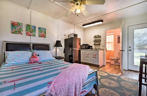 Canyon Lake Apartment | Flirty Flamingo Studio 1 Mi to Canyon Lake