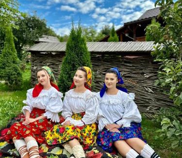 Sugau House | Floare de Maramures 1