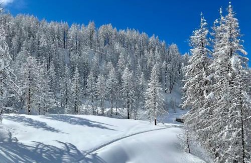 Cervinia Apartment | FLORA ALPINA EXPERIENCE - "Ski-to-Door" Brand New Chalet Apartments with Indoor Garage and Mountain View