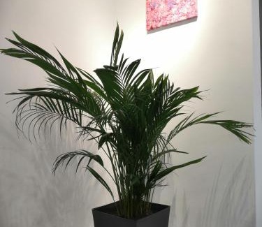 Batu Pahat House | Flora Homestay in Taman Flora