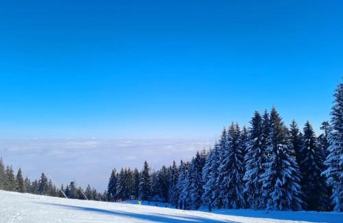 Borovets Apartment | Flora Ski-slope Studio Apartment