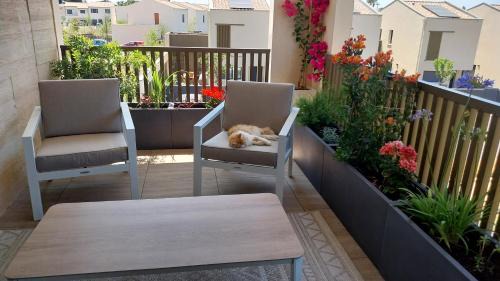 Mauguio Apartment | FLORA -T2 46 m2 - terrasse