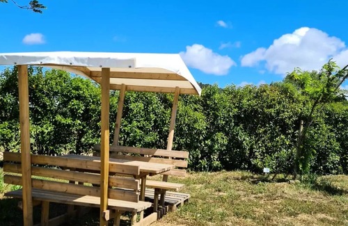 Bize-Minervois House | Flower Camping Olivigne * - Mobile home Premium 22 m2 1 bedroom + terrace 17m2 + TV + LV + Air conditioning + Plancha 2 persons